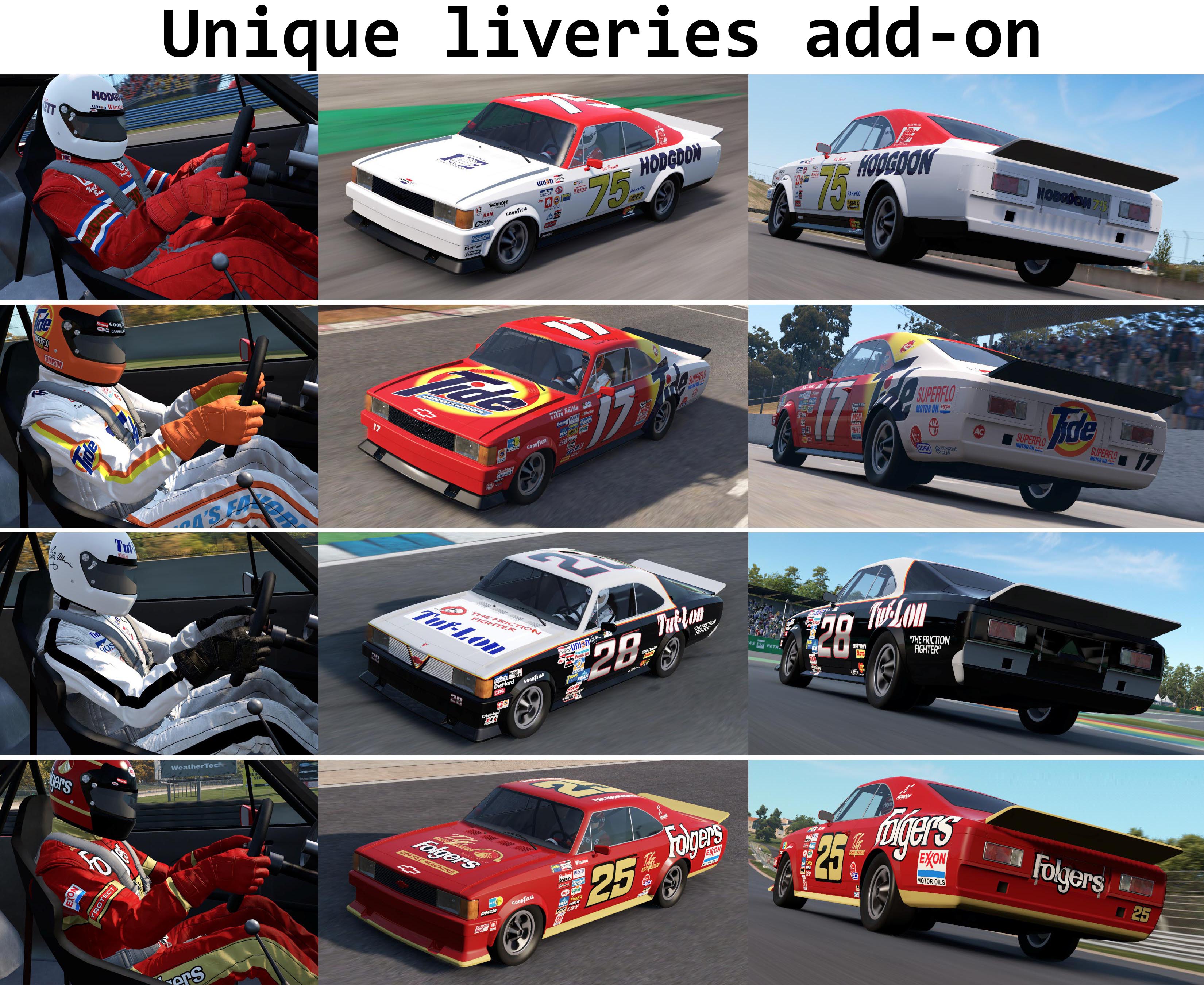 Unique liveries add-on.jpg