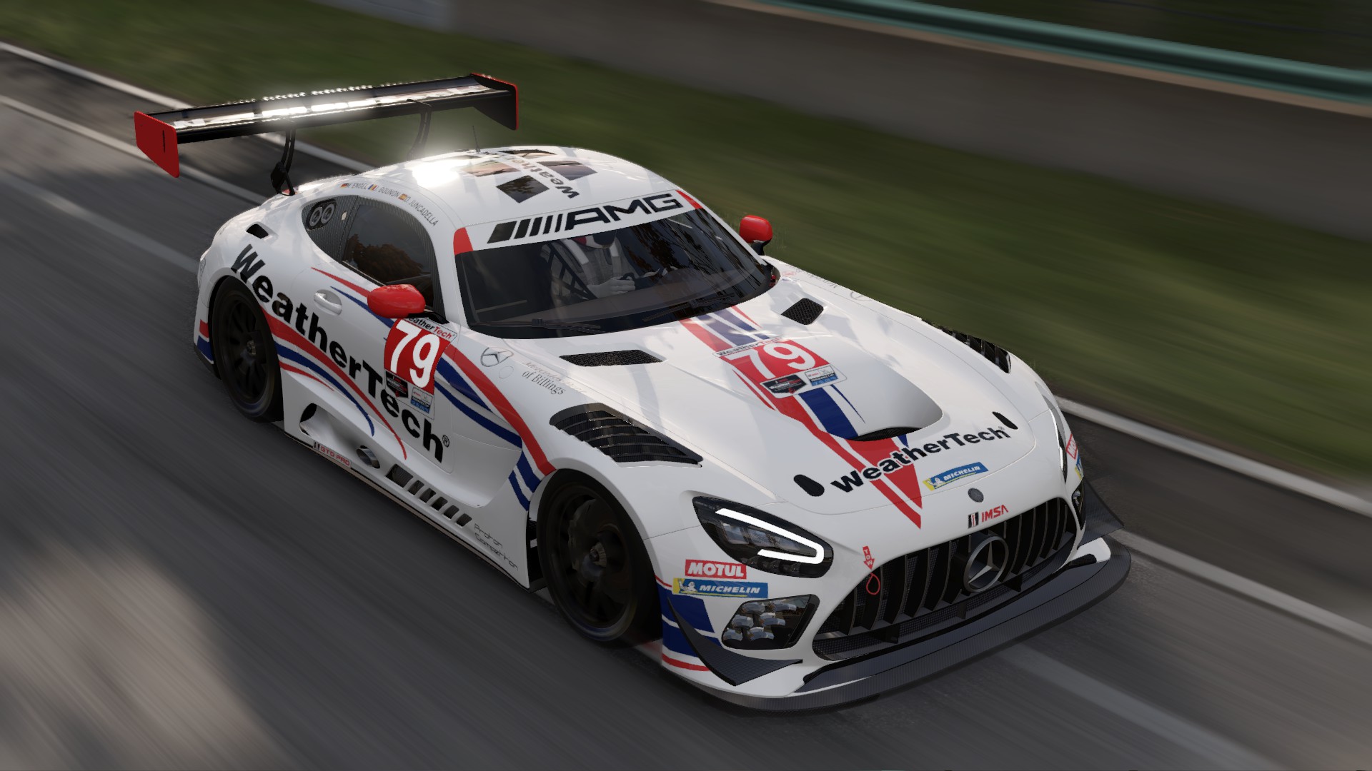 WeatherTech Racing #79.jpg