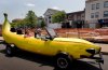 cruise-along-the-banana-car-o.jpg